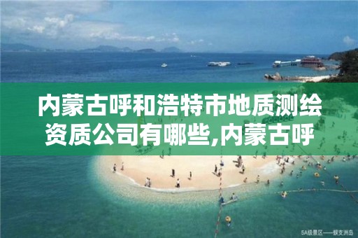 内蒙古呼和浩特市地质测绘资质公司有哪些,内蒙古呼和浩特市地质测绘资质公司有哪些单位