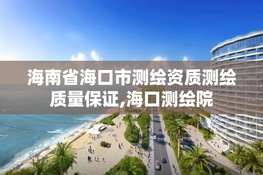 海南省海口市测绘资质测绘质量保证,海口测绘院