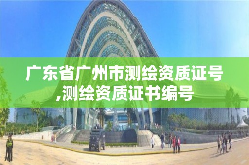 广东省广州市测绘资质证号,测绘资质证书编号