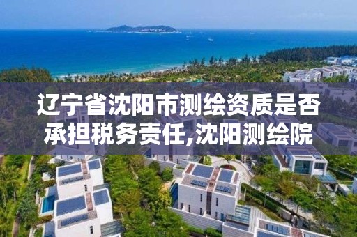 辽宁省沈阳市测绘资质是否承担税务责任,沈阳测绘院电话