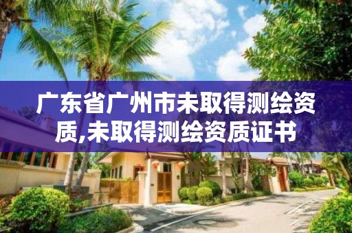 广东省广州市未取得测绘资质,未取得测绘资质证书