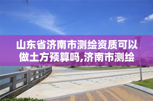 山东省济南市测绘资质可以做土方预算吗,济南市测绘收费标准。