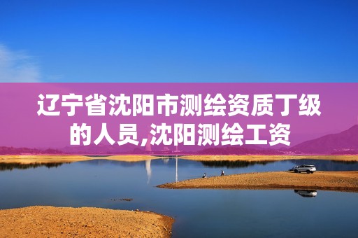 辽宁省沈阳市测绘资质丁级的人员,沈阳测绘工资