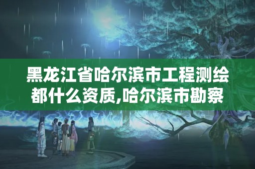 黑龙江省哈尔滨市工程测绘都什么资质,哈尔滨市勘察测绘研究院改制