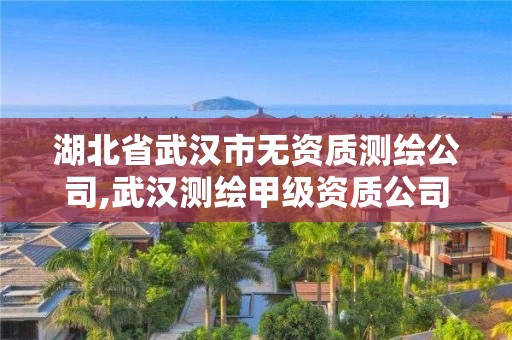 湖北省武汉市无资质测绘公司,武汉测绘甲级资质公司