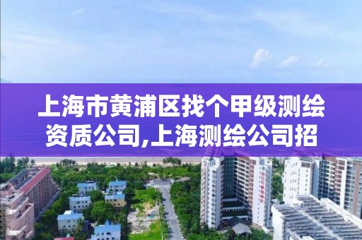 上海市黄浦区找个甲级测绘资质公司,上海测绘公司招聘