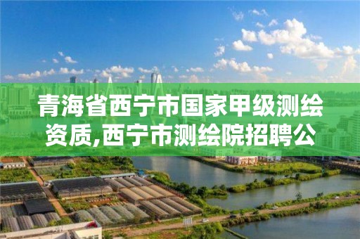 青海省西宁市国家甲级测绘资质,西宁市测绘院招聘公示