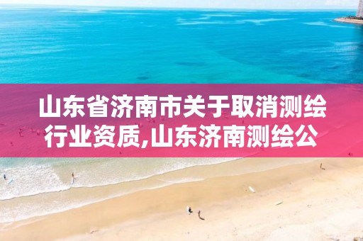 山东省济南市关于取消测绘行业资质,山东济南测绘公司有哪些