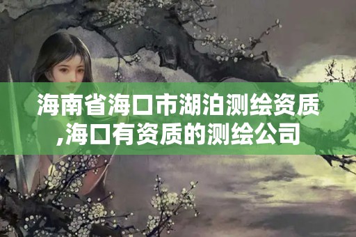 海南省海口市湖泊测绘资质,海口有资质的测绘公司