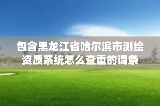 包含黑龙江省哈尔滨市测绘资质系统怎么查重的词条