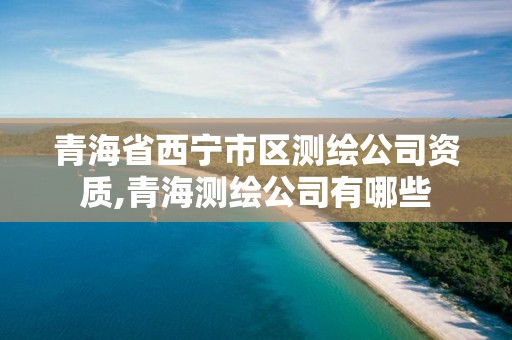 青海省西宁市区测绘公司资质,青海测绘公司有哪些