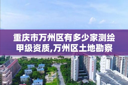 重庆市万州区有多少家测绘甲级资质,万州区土地勘察测绘队。