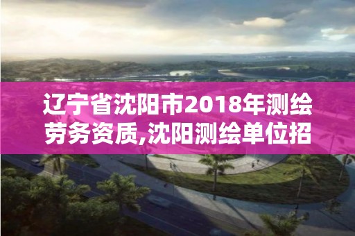 辽宁省沈阳市2018年测绘劳务资质,沈阳测绘单位招聘