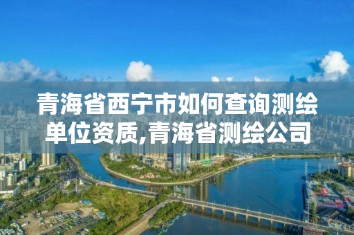 青海省西宁市如何查询测绘单位资质,青海省测绘公司