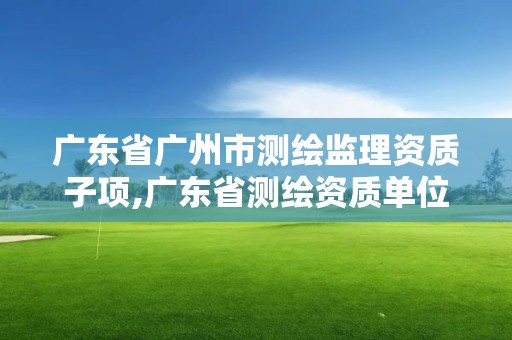 广东省广州市测绘监理资质子项,广东省测绘资质单位名单