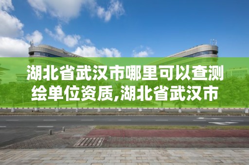 湖北省武汉市哪里可以查测绘单位资质,湖北省武汉市哪里可以查测绘单位资质