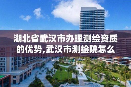 湖北省武汉市办理测绘资质的优势,武汉市测绘院怎么样