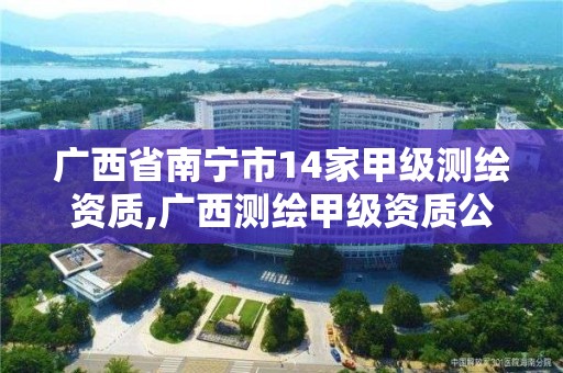 广西省南宁市14家甲级测绘资质,广西测绘甲级资质公司