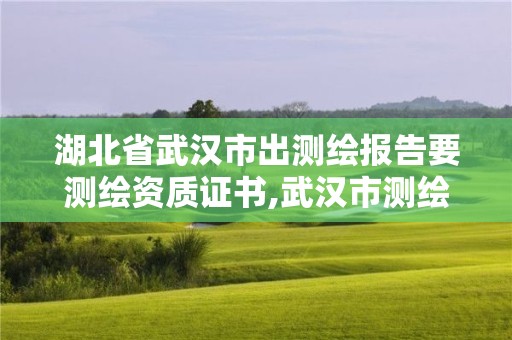 湖北省武汉市出测绘报告要测绘资质证书,武汉市测绘工程技术规定