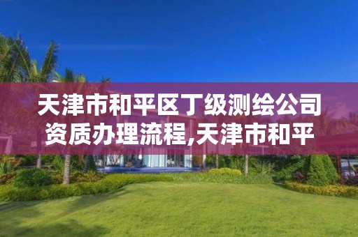 天津市和平区丁级测绘公司资质办理流程,天津市和平区丁级测绘公司资质办理流程图