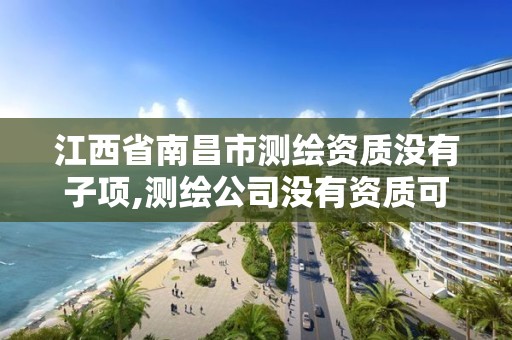 江西省南昌市测绘资质没有子项,测绘公司没有资质可以开展业务吗