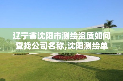 辽宁省沈阳市测绘资质如何查找公司名称,沈阳测绘单位排名。