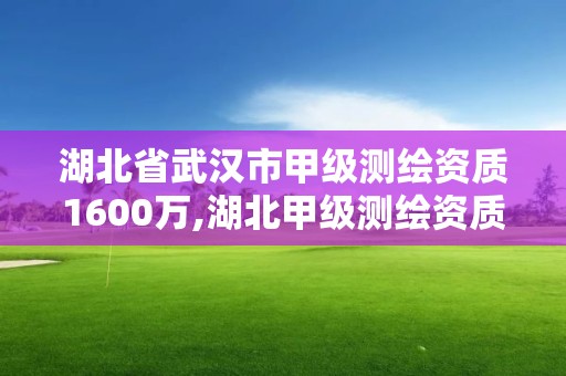 湖北省武汉市甲级测绘资质1600万,湖北甲级测绘资质单位