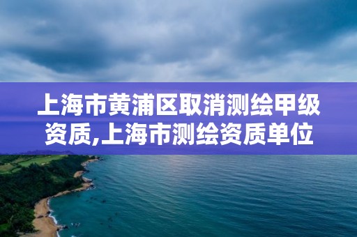 上海市黄浦区取消测绘甲级资质,上海市测绘资质单位名单