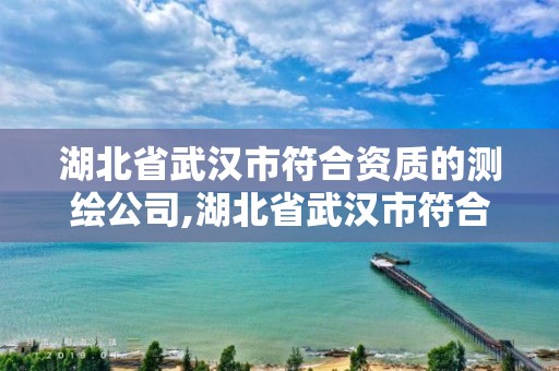 湖北省武汉市符合资质的测绘公司,湖北省武汉市符合资质的测绘公司名单。