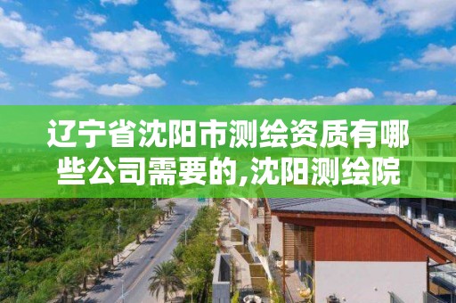 辽宁省沈阳市测绘资质有哪些公司需要的,沈阳测绘院电话。