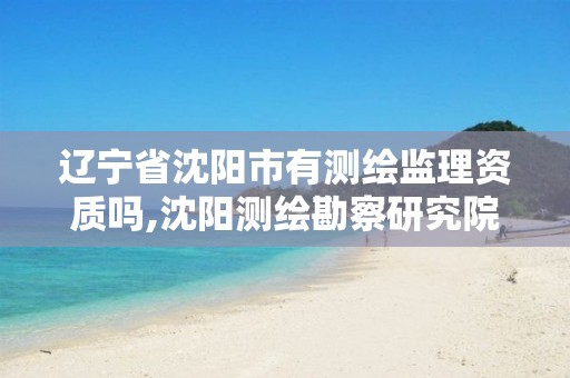 辽宁省沈阳市有测绘监理资质吗,沈阳测绘勘察研究院有限公司