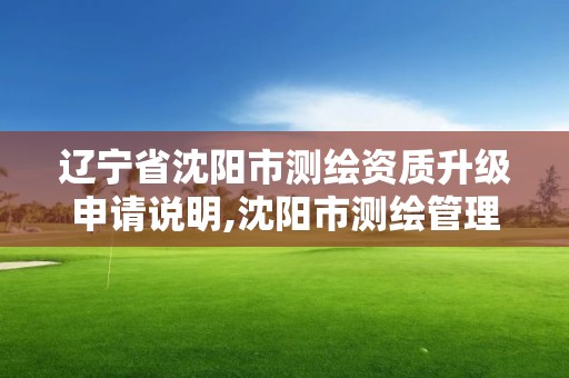 辽宁省沈阳市测绘资质升级申请说明,沈阳市测绘管理办公室。