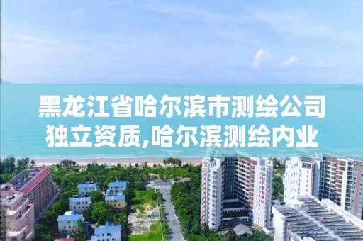 黑龙江省哈尔滨市测绘公司独立资质,哈尔滨测绘内业招聘信息