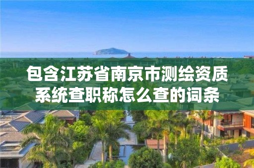 包含江苏省南京市测绘资质系统查职称怎么查的词条