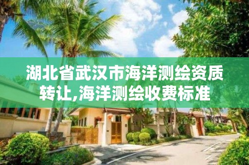 湖北省武汉市海洋测绘资质转让,海洋测绘收费标准