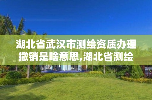 湖北省武汉市测绘资质办理撤销是啥意思,湖北省测绘资质申请。