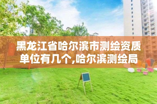 黑龙江省哈尔滨市测绘资质单位有几个,哈尔滨测绘局怎么样。