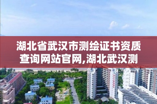 湖北省武汉市测绘证书资质查询网站官网,湖北武汉测绘局。