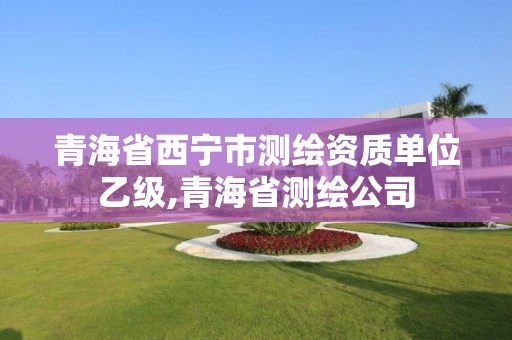 青海省西宁市测绘资质单位乙级,青海省测绘公司