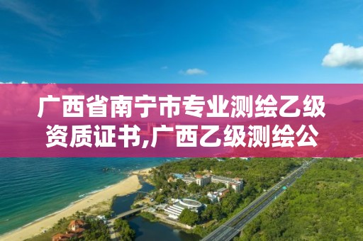 广西省南宁市专业测绘乙级资质证书,广西乙级测绘公司名单