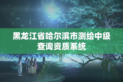 黑龙江省哈尔滨市测绘中级查询资质系统