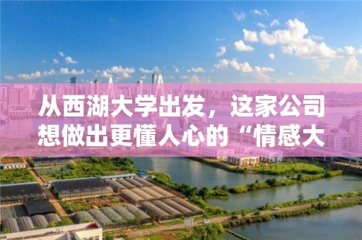 从西湖大学出发，这家公司想做出更懂人心的“情感大模型”