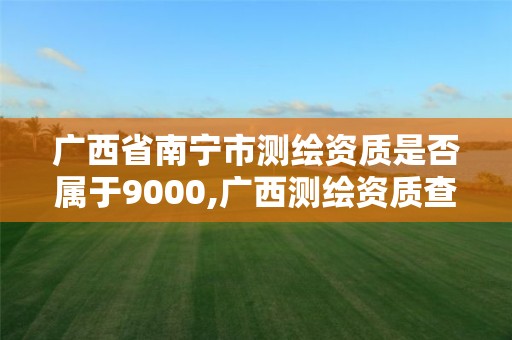 广西省南宁市测绘资质是否属于9000,广西测绘资质查询