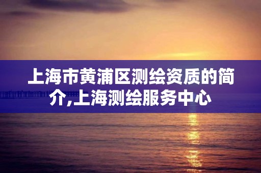 上海市黄浦区测绘资质的简介,上海测绘服务中心