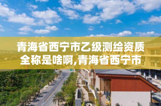 青海省西宁市乙级测绘资质全称是啥啊,青海省西宁市乙级测绘资质全称是啥啊。