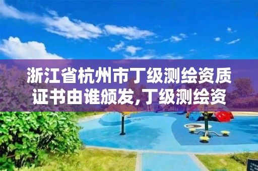 浙江省杭州市丁级测绘资质证书由谁颁发,丁级测绘资质能承担的业务。