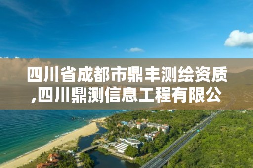 四川省成都市鼎丰测绘资质,四川鼎测信息工程有限公司中标情况