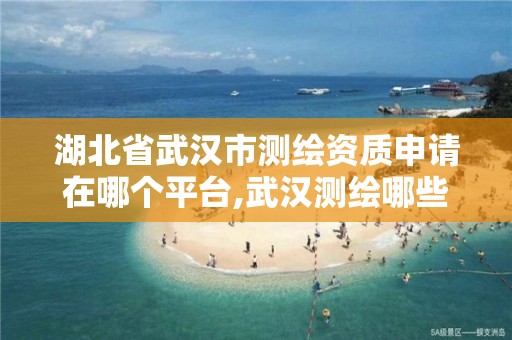 湖北省武汉市测绘资质申请在哪个平台,武汉测绘哪些单位比较好