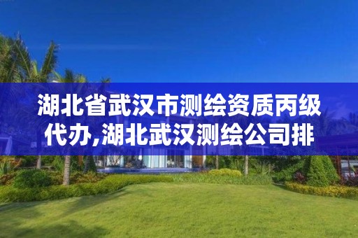 湖北省武汉市测绘资质丙级代办,湖北武汉测绘公司排行榜