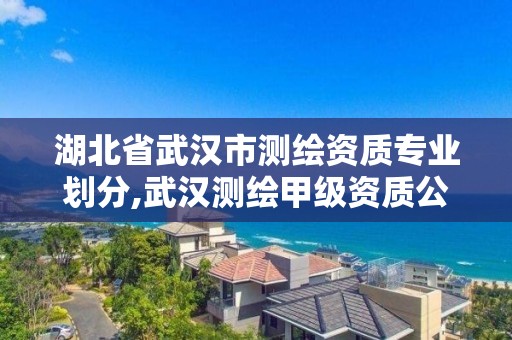 湖北省武汉市测绘资质专业划分,武汉测绘甲级资质公司